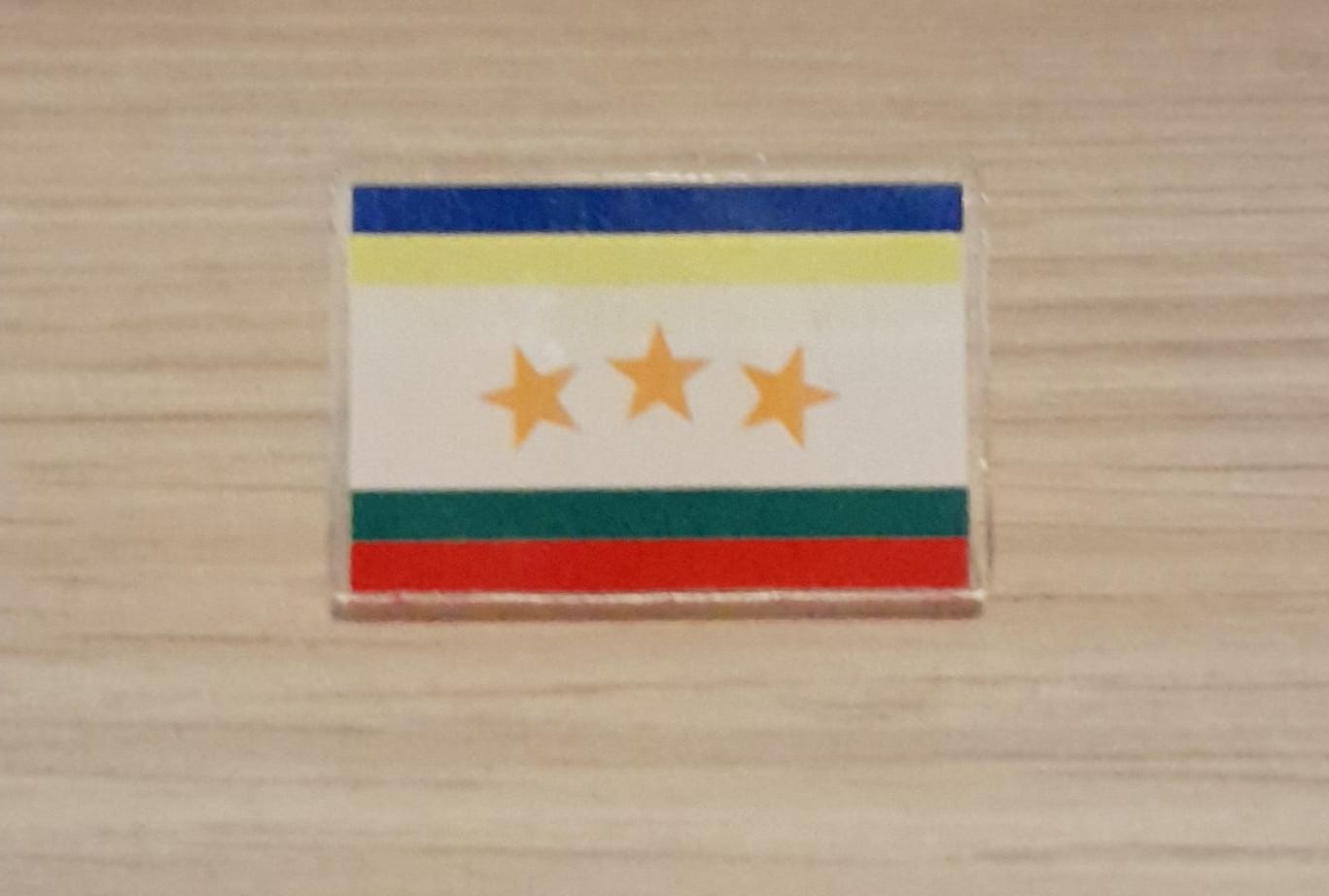 Flag pin of Satoshi